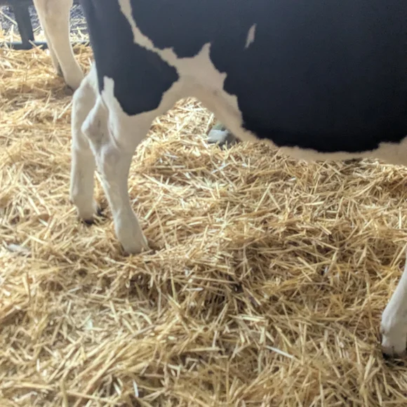 Old Navy Plum Floral Maxi Dress - Picture 5 of 7